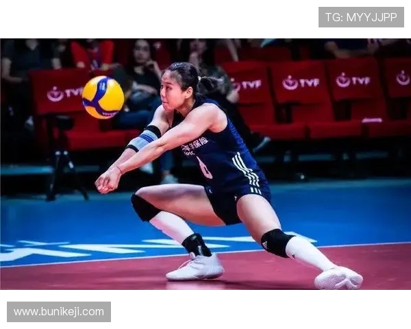 南京排球队战术引发热议球迷与专家观点交锋分析