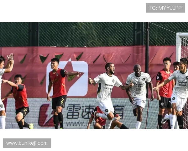 武汉排球队积分榜领先84分展现强劲实力引发关注